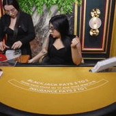 Blackjack VIP 19